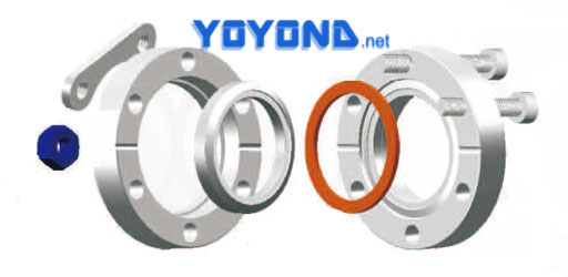 CF Flanges