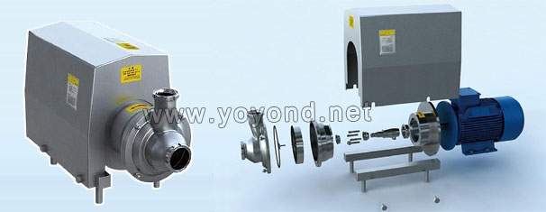 Sanitary liquid ring pumps