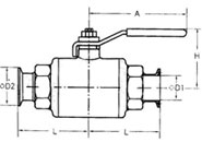 Clamped Ball Valve